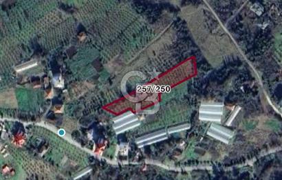 COLDWELL BANKER NET GAYRİMENKUL'DEN 2947 M2 SATILIK ARSA