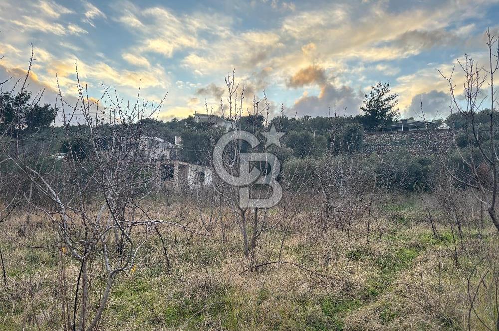 Kemalpaşa Armutlu'da 1745 m2 Satılık Bağ 