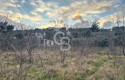 Kemalpaşa Armutlu'da 1745 m2 Satılık Bağ 
