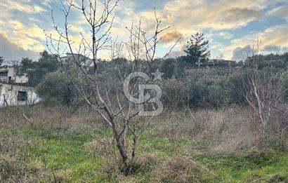 Kemalpaşa Armutlu'da 1745 m2 Satılık Bağ 