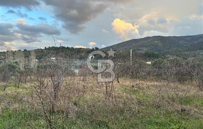 Kemalpaşa Armutlu'da 1745 m2 Satılık Bağ 