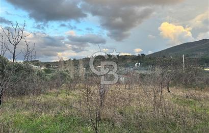 Kemalpaşa Armutlu'da 1745 m2 Satılık Bağ 