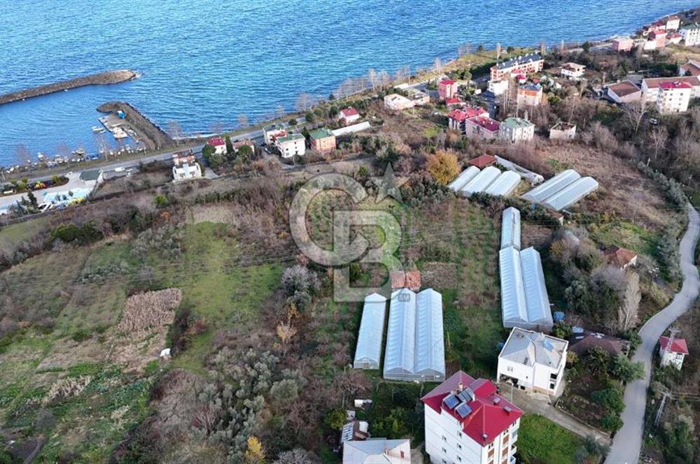 COLDWELL BANKER NET GAYRİMENKUL'DEN 2947 M2 SATILIK ARSA