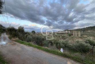 Kemalpaşa Armutlu'da 1745 m2 Satılık Bağ  - 1 - 326773