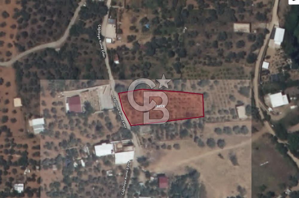 Kemalpaşa Armutlu'da 1745 m2 Satılık Bağ 