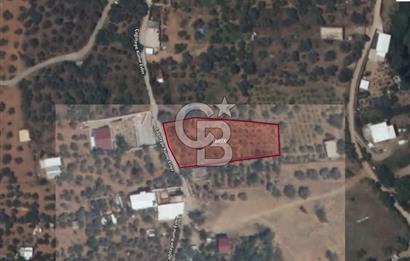 Kemalpaşa Armutlu'da 1745 m2 Satılık Bağ 