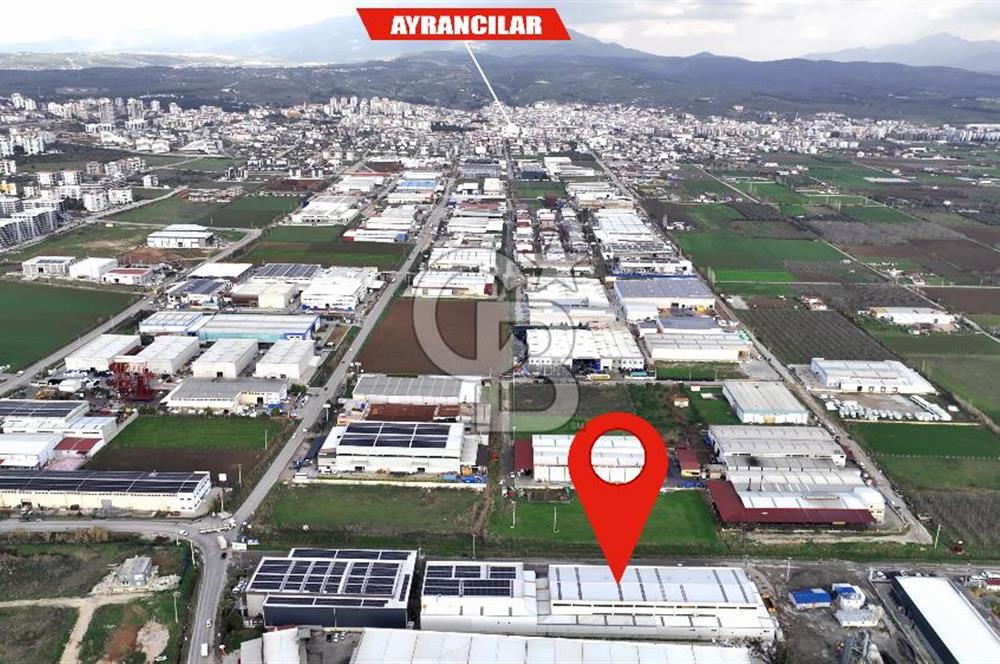 TORBALI PANCAR OSB YAKINI SATILIK FABRİKA