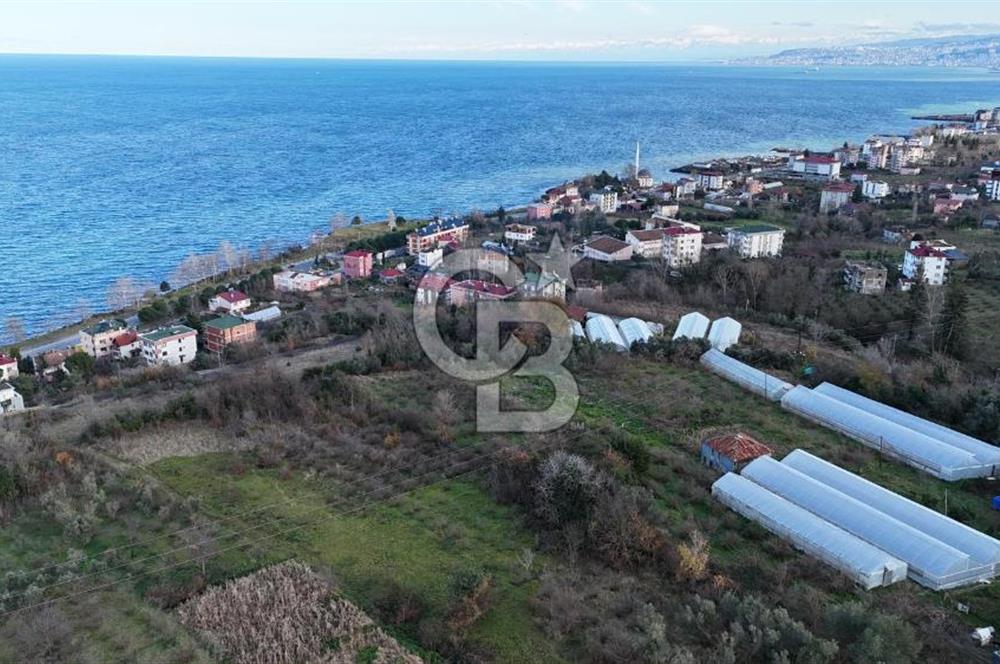 COLDWELL BANKER NET GAYRİMENKUL'DEN 2947 M2 SATILIK ARSA