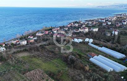 COLDWELL BANKER NET GAYRİMENKUL'DEN 2947 M2 SATILIK ARSA