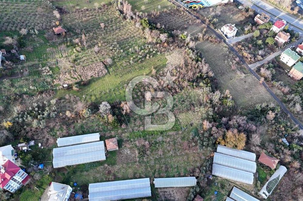 COLDWELL BANKER NET GAYRİMENKUL'DEN 2947 M2 SATILIK ARSA