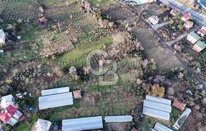 COLDWELL BANKER NET GAYRİMENKUL'DEN 2947 M2 SATILIK ARSA