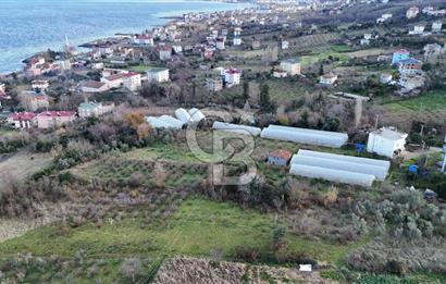 COLDWELL BANKER NET GAYRİMENKUL'DEN 2947 M2 SATILIK ARSA