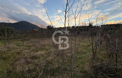 Kemalpaşa Armutlu'da 1745 m2 Satılık Bağ 