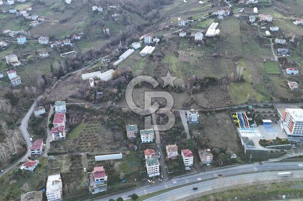 COLDWELL BANKER NET GAYRİMENKUL'DEN 2947 M2 SATILIK ARSA