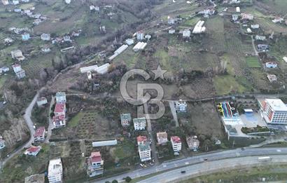 COLDWELL BANKER NET GAYRİMENKUL'DEN 2947 M2 SATILIK ARSA