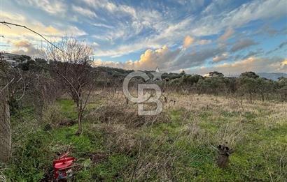 Kemalpaşa Armutlu'da 1745 m2 Satılık Bağ 