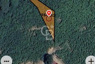 • Sakarya Kocaali Koğuk Pelit’te Yatırımlık 779 m² Bahçe - 2 - 326810