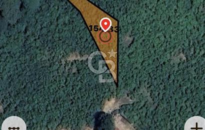 • Sakarya Kocaali Koğuk Pelit’te Yatırımlık 779 m² Bahçe