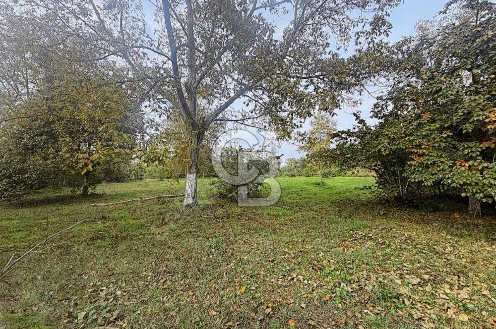 KIRKPINAR BAĞDAT CADDESİNDE EMSALSİZ ARSA