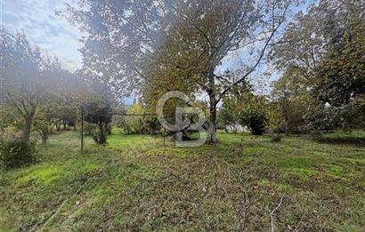 KIRKPINAR BAĞDAT CADDESİNDE EMSALSİZ ARSA