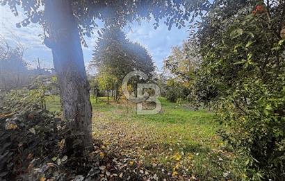 KIRKPINAR BAĞDAT CADDESİNDE EMSALSİZ ARSA