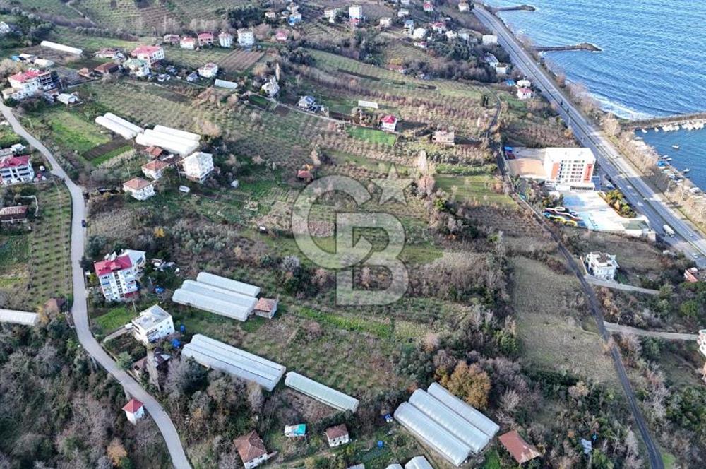 COLDWELL BANKER NET GAYRİMENKUL'DEN 2947 M2 SATILIK ARSA