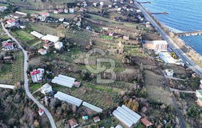 COLDWELL BANKER NET GAYRİMENKUL'DEN 2947 M2 SATILIK ARSA