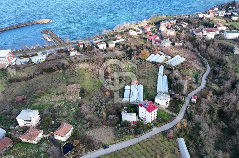 COLDWELL BANKER NET GAYRİMENKUL'DEN 2947 M2 SATILIK ARSA