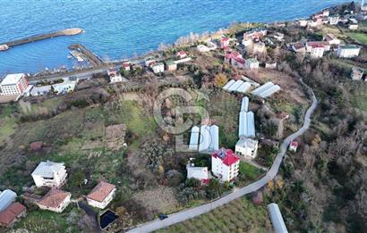 COLDWELL BANKER NET GAYRİMENKUL'DEN 2947 M2 SATILIK ARSA