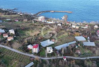 COLDWELL BANKER NET GAYRİMENKUL'DEN 2947 M2 SATILIK ARSA - 2 - 326800