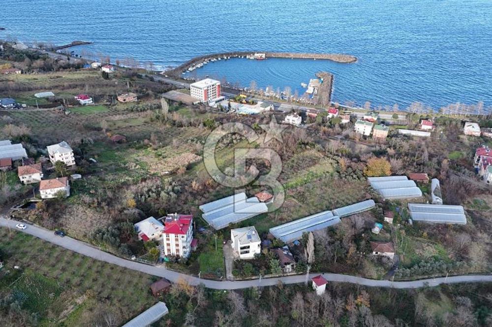 COLDWELL BANKER NET GAYRİMENKUL'DEN 2947 M2 SATILIK ARSA