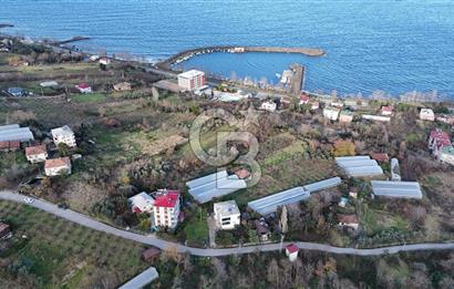 COLDWELL BANKER NET GAYRİMENKUL'DEN 2947 M2 SATILIK ARSA