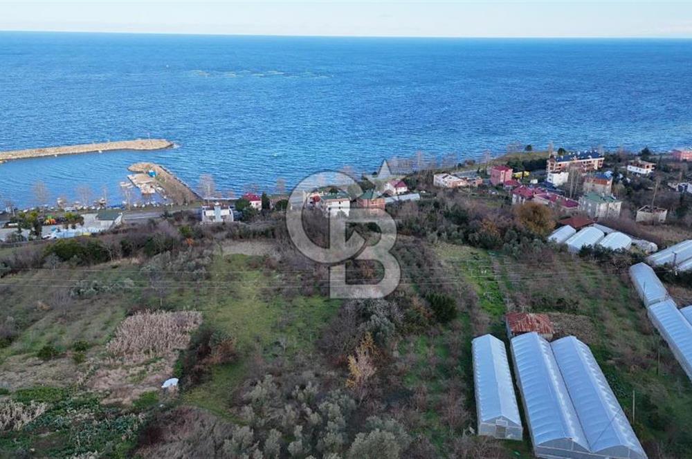 COLDWELL BANKER NET GAYRİMENKUL'DEN 2947 M2 SATILIK ARSA