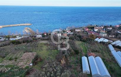 COLDWELL BANKER NET GAYRİMENKUL'DEN 2947 M2 SATILIK ARSA