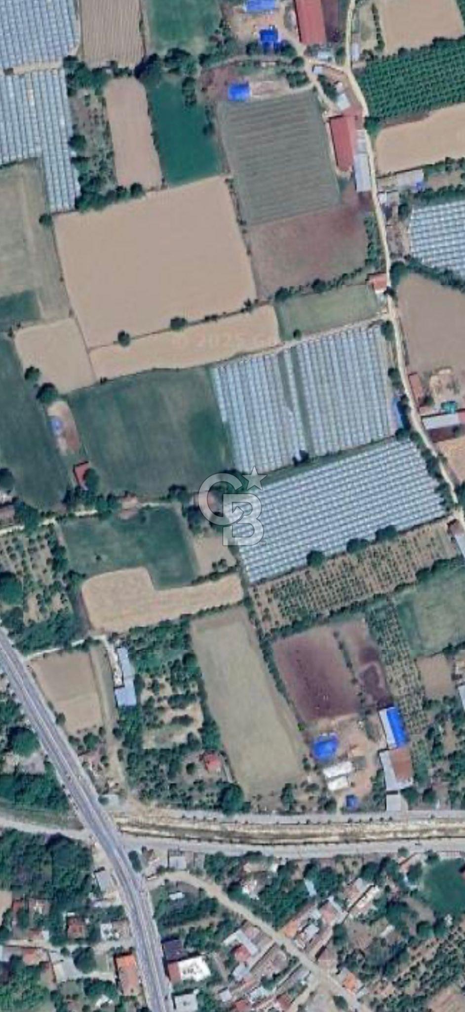 AYDIN  YENİ PAZAR DA  SATILIK TARLA