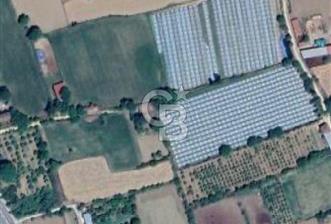 AYDIN  YENİ PAZAR DA  SATILIK TARLA - 1 - 326870