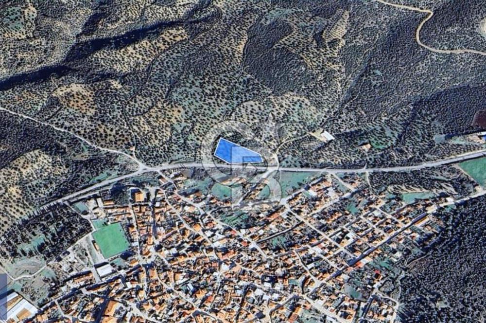 BERGAMA ZEYTİNDAĞ KÖYÜ YAKINI YATIRIMA UYGUN ZEYTİNLİK
