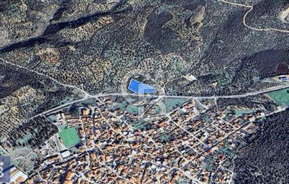 BERGAMA ZEYTİNDAĞ KÖYÜ YAKINI YATIRIMA UYGUN ZEYTİNLİK