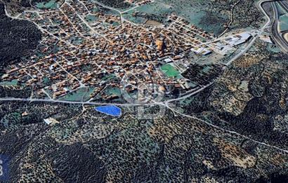 BERGAMA ZEYTİNDAĞ KÖYÜ YAKINI YATIRIMA UYGUN ZEYTİNLİK