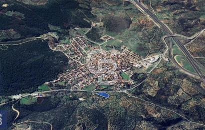 BERGAMA ZEYTİNDAĞ KÖYÜ YAKINI YATIRIMA UYGUN ZEYTİNLİK