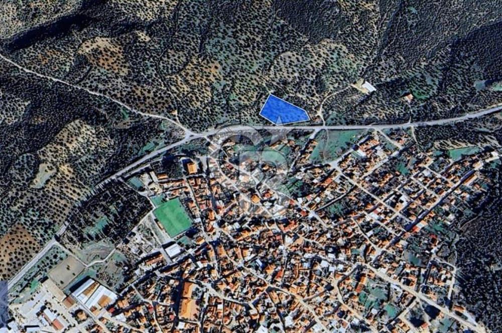 BERGAMA ZEYTİNDAĞ KÖYÜ YAKINI YATIRIMA UYGUN ZEYTİNLİK