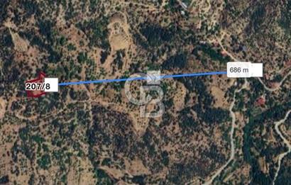 İzmir Tire Yamandere'de 3.806 m² Yatırımlık Armut ve Ceviz Bahçesi