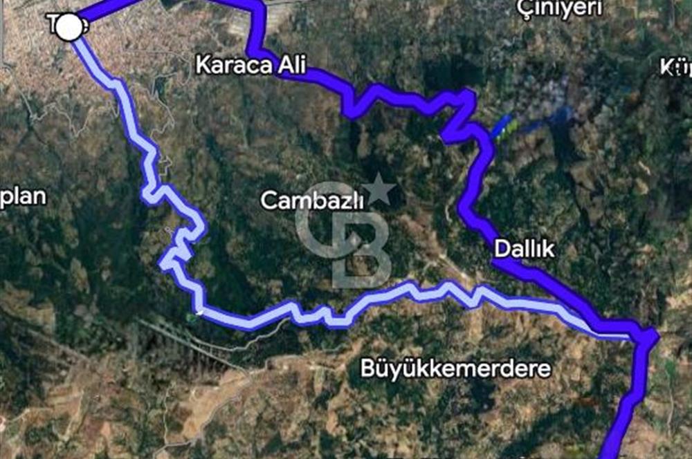 İzmir Tire Yamandere'de 3.806 m² Yatırımlık Armut ve Ceviz Bahçesi