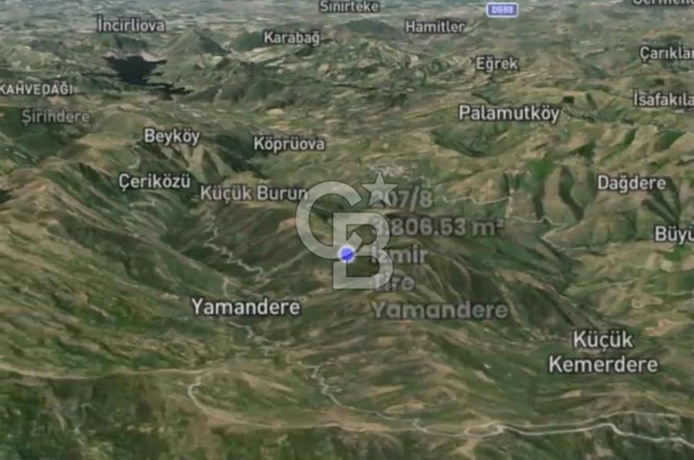 İzmir Tire Yamandere'de 3.806 m² Yatırımlık Armut ve Ceviz Bahçesi