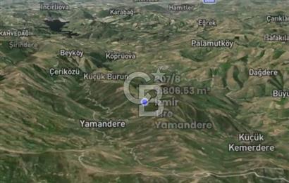 İzmir Tire Yamandere'de 3.806 m² Yatırımlık Armut ve Ceviz Bahçesi