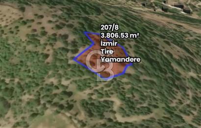 İzmir Tire Yamandere'de 3.806 m² Yatırımlık Armut ve Ceviz Bahçesi