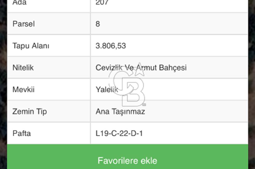 İzmir Tire Yamandere'de 3.806 m² Yatırımlık Armut ve Ceviz Bahçesi