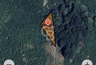 Sakarya Kocaali Koğuk Pelit’te Yatırımlık 951 m² Bahçe - 1 - 326816