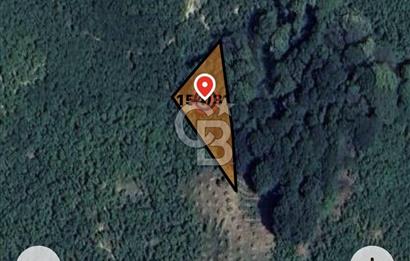 Sakarya Kocaali Koğuk Pelit’te Yatırımlık 951 m² Bahçe