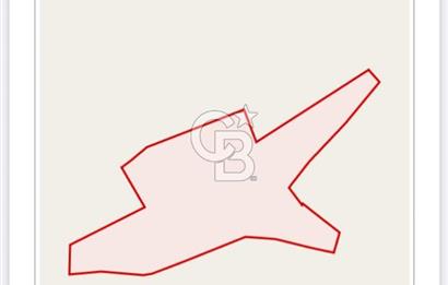 Tekirdağ Çorlu Nursatiye 42.930 m² İmara Yakın Satılık Arazi